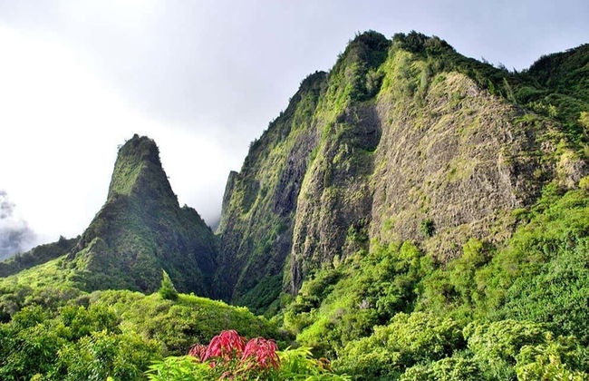 Tour de Maui, la vuelta a la isla - Foto 3