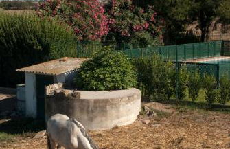 Quinta da Gafaria - Foto 37