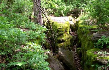 Hillbilly Chic Tiny House Near Nashville with WiFi, Kitchenette, Fire Pit & Trails - Foto 48