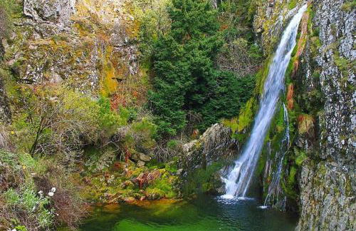 Casa Oeste - Photo 50