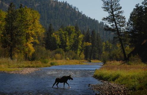 Montana Rock Creek Cabin - Foto 22