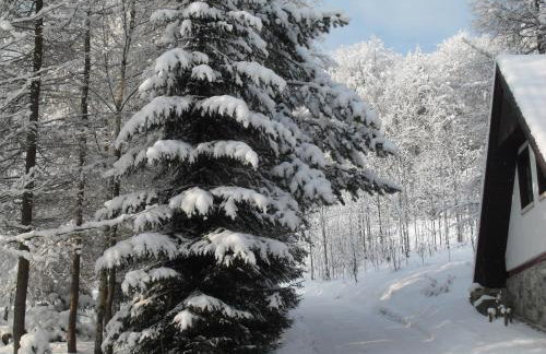 Studio Gościnne ANTEK - Foto 28