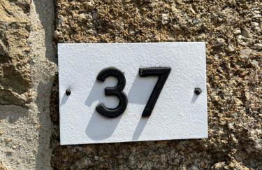 Bienvenue chez Tom - Photo 12