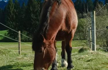 Ferienwohnung Ilona, Armin & Simon Funke - Photo 29