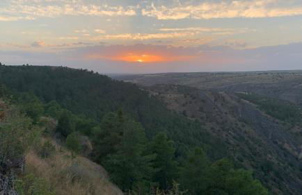 El enebrón - Hoces del río Duratón - Foto 23