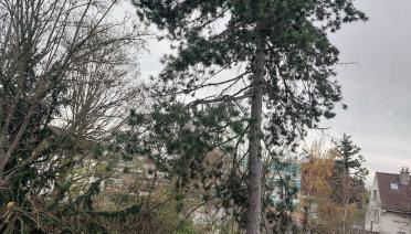 One bedroom flat with balcony - Foto 3