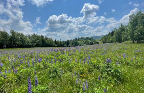 Filipówka - dom z sauną w Karkonoszach - Foto 34