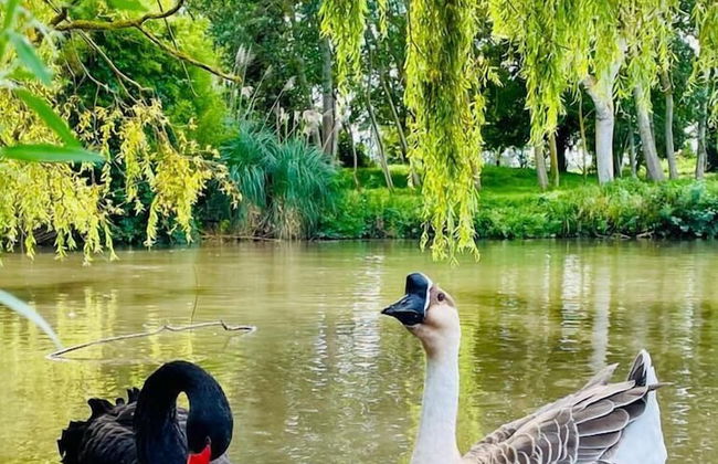 Château Côte de Nacre - Foto 73