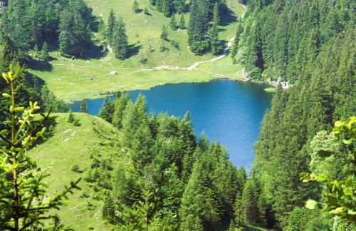 Haus Moosbach - Foto 13