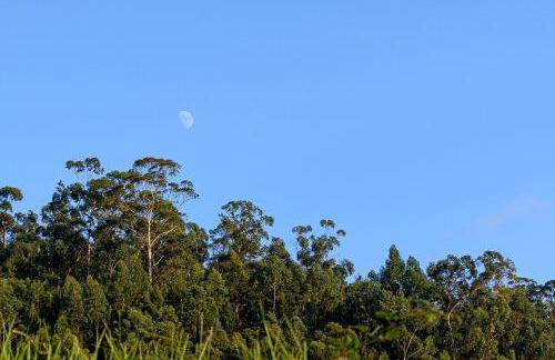 Recanto das Florenças (2) - Photo 55