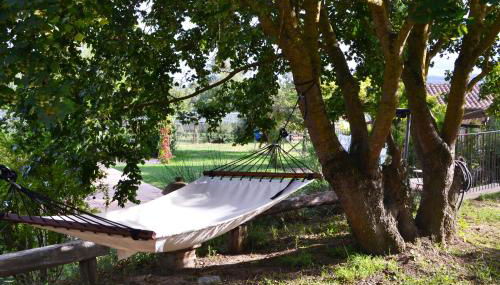 Appartamento Rustico, Wifi, Perugia - Foto 5, Garden