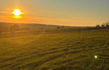 Erholung im Westerwald ! - Foto 23