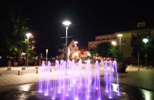 Charmant studio classé 3 étoiles au coeur de Niederbronn-les-Bains - Foto 11