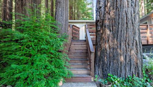 Home on the Range - Foto 3