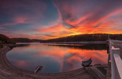 Waldrandzauber - Foto 35