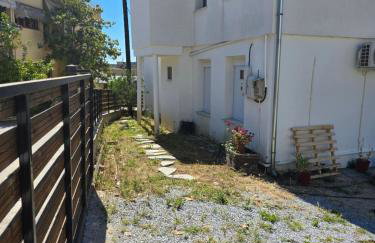 Olive Tree's House - Photo 52