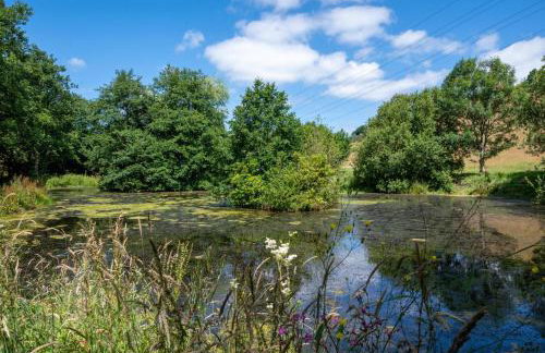 1 Bed in Trehunist oc-chretr - Foto 12