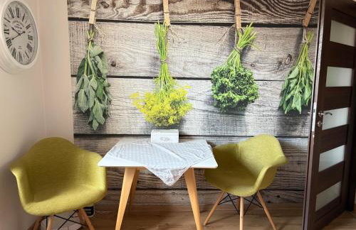 GÓRSKA CISZA - Duży, komfortowy, wyjątkowy Apartament - Foto 6