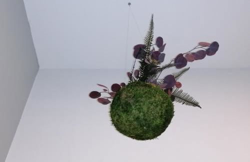 Casa Beda - Photo 29