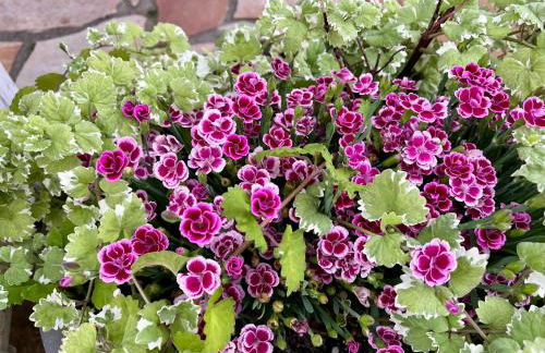 Casa Banniza - Foto 39