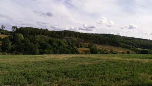 Ferienwohnung Altmaier - Ferien auf dem Lande - Foto 2