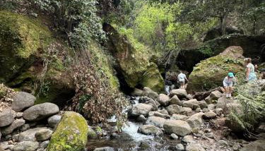 The View House - Foto 3