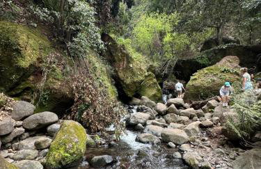 The View House - Foto 3