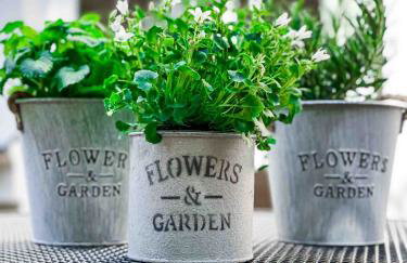 Ferienwohnung Poseidon - Foto 26