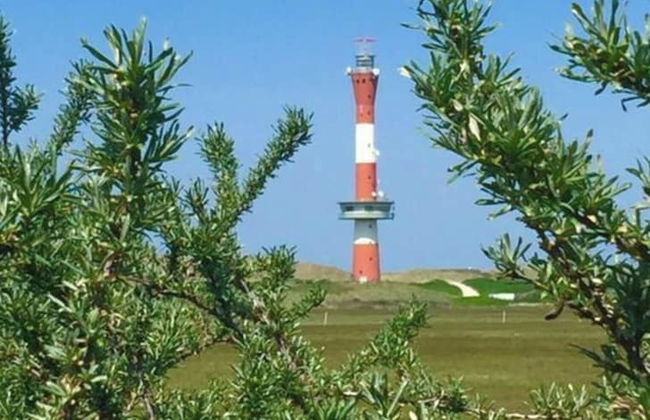 Lagoon on the Wadden See on Wangerooge - Foto 4