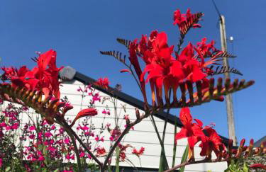 Ocean Drive Deluxe Apartment with complimentary Day Time Beach hut - Foto 28