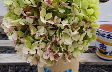 Casa Óscar - Foto 20