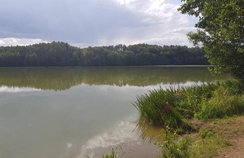 Domek Konrad - balia ogrodowa dodatkowo płatna - Foto 57