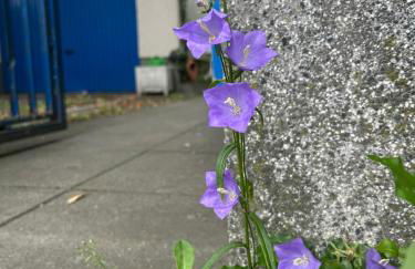 1948 es war einmal - Foto 39