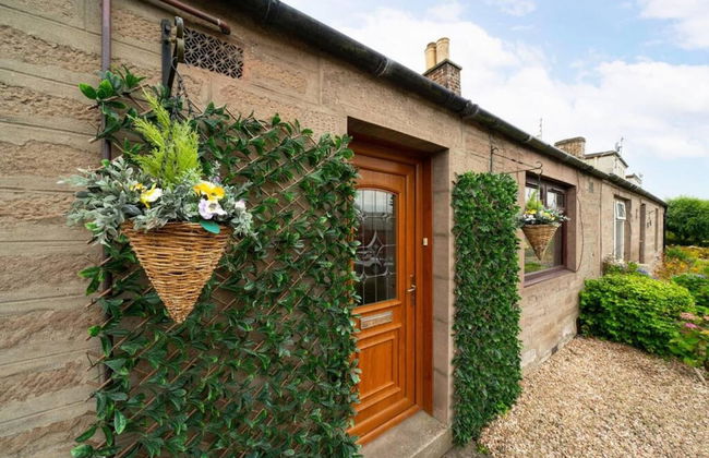 Heatherwood Cottage - Central Scone - Photo 30