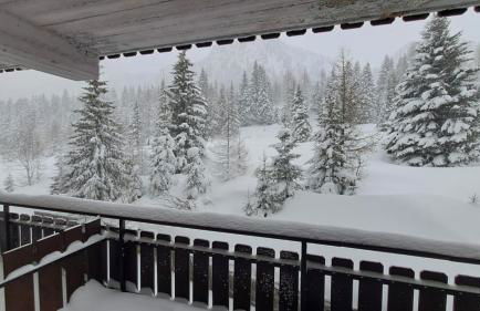 Casina Alpina sugli impianti Passo S Pellegrino - Foto 7