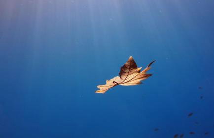 Apartments Bikin - Foto 13