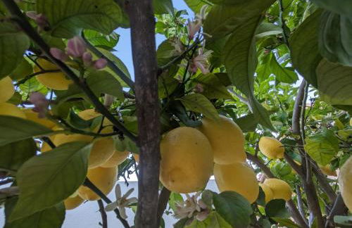 Casa Virgen de Gracia - Foto 7