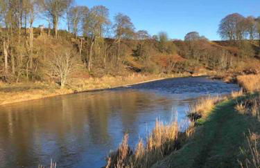 River Cottage - Photo 20