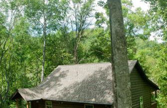 The Sassafras Breeze - Foto 1