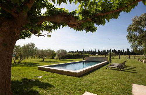 Mas des Oliviers - Foto 10