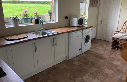 Old Egg Shop - Foto 3