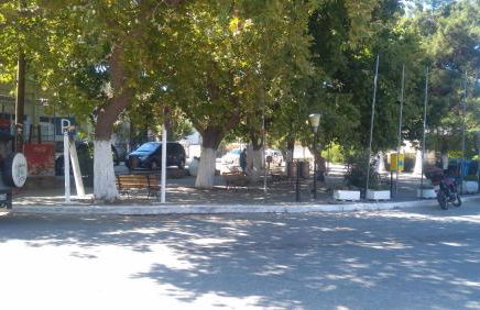 Sunray Separate Villa - Photo 35