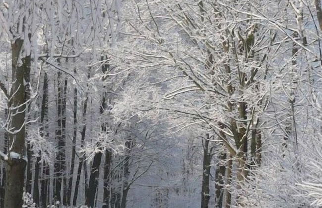 Chaty pod Sokolím Hřbetem - Foto 64