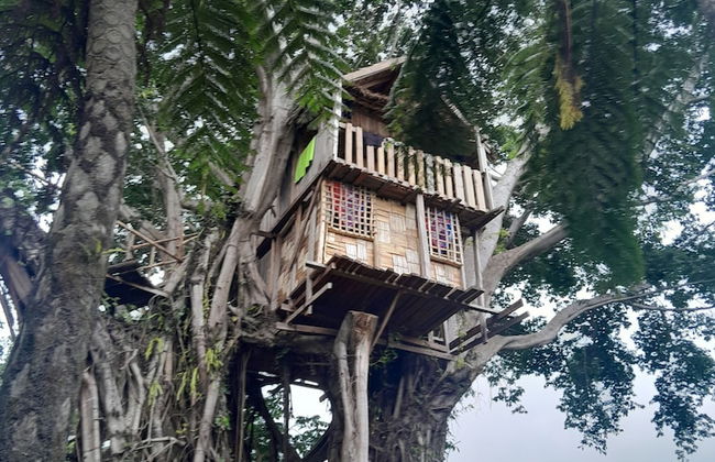 Glowing view tree house and Bangalow - Foto 12