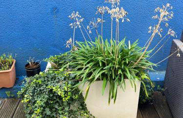 Proche grotte de Matata - Foto 20