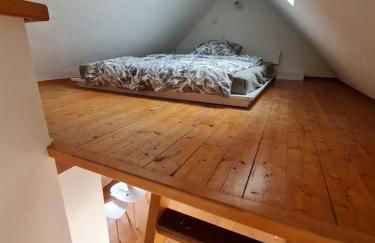 Studio Apartment for 1-2 People with Rhine View - Foto 7