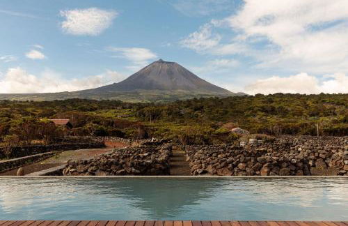 Adega do Fogo - Photo 11