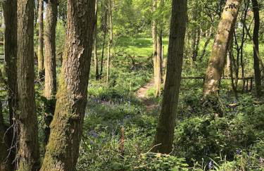 Halfmoon Lodge @ Knights Hole wheelchair access - Foto 11