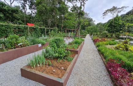 Estúdio 427 Teresópolis - Foto 57