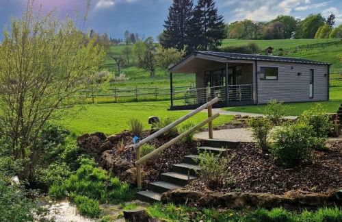 Holiday Home in Willingen-neerdar - Foto 39